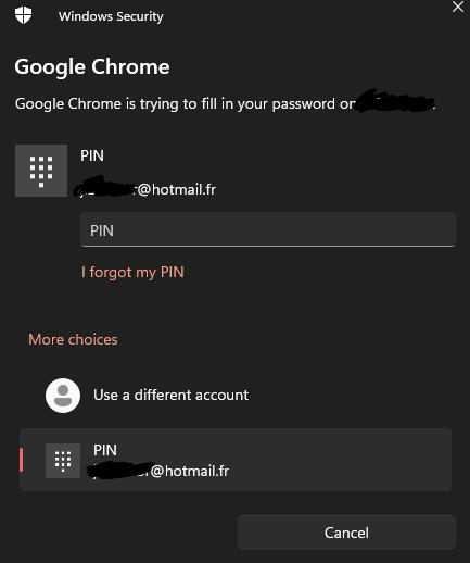 Chrome asking for pin every time I try to autofill - Microsoft