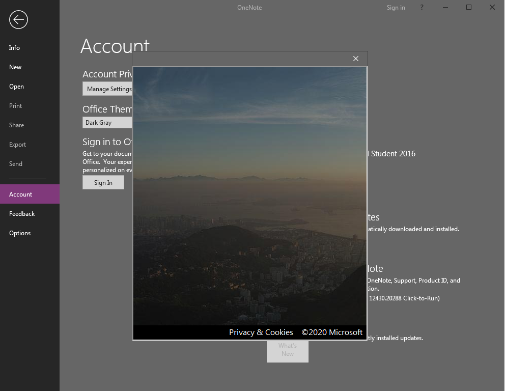 Onenote First Sign In Problem Show Only Blank Background Microsoft Community