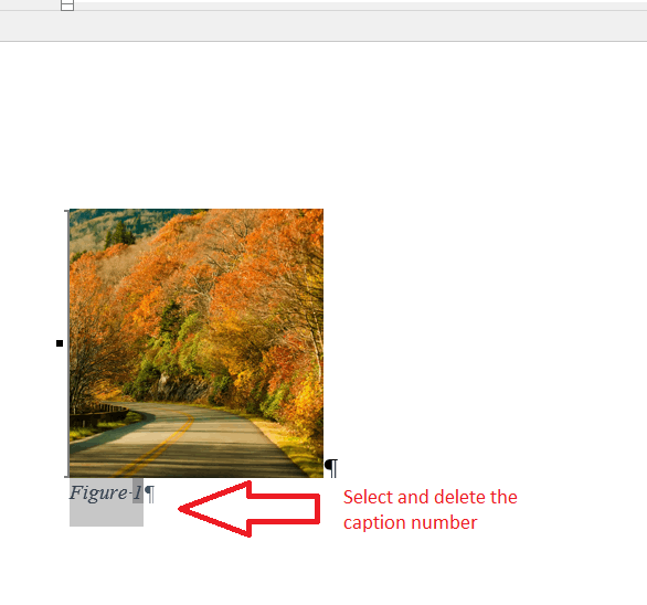 how-to-stop-auto-numbering-of-photo-captions-in-word-for-windows