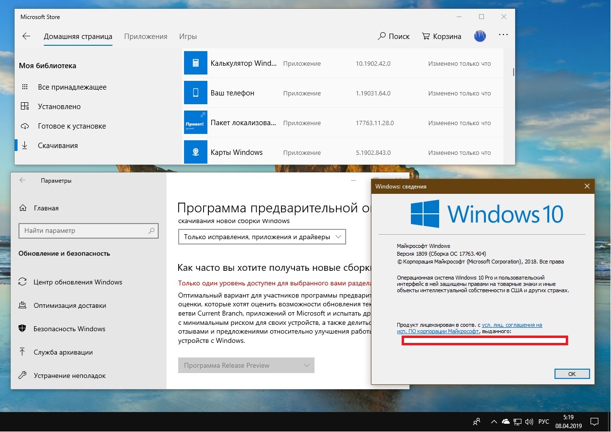 Пакет локализованного интерфейса на русском windows 10 что это