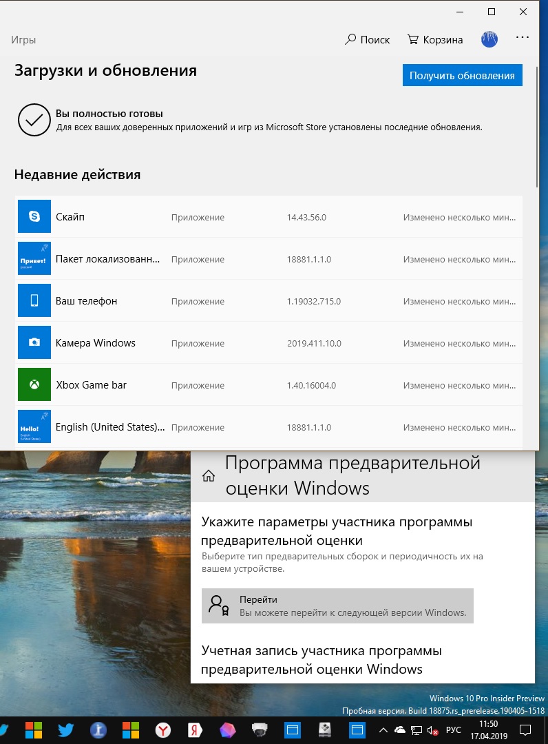 Пакет локализованного интерфейса на русском windows 10 что это