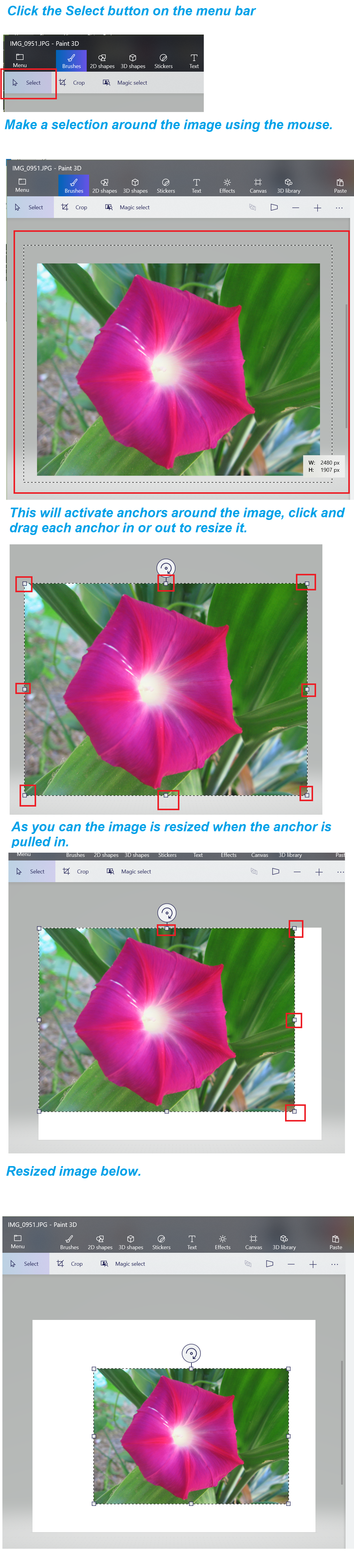 Easy Guide: How to Resize an Image Using Paint 3D in Windows 10