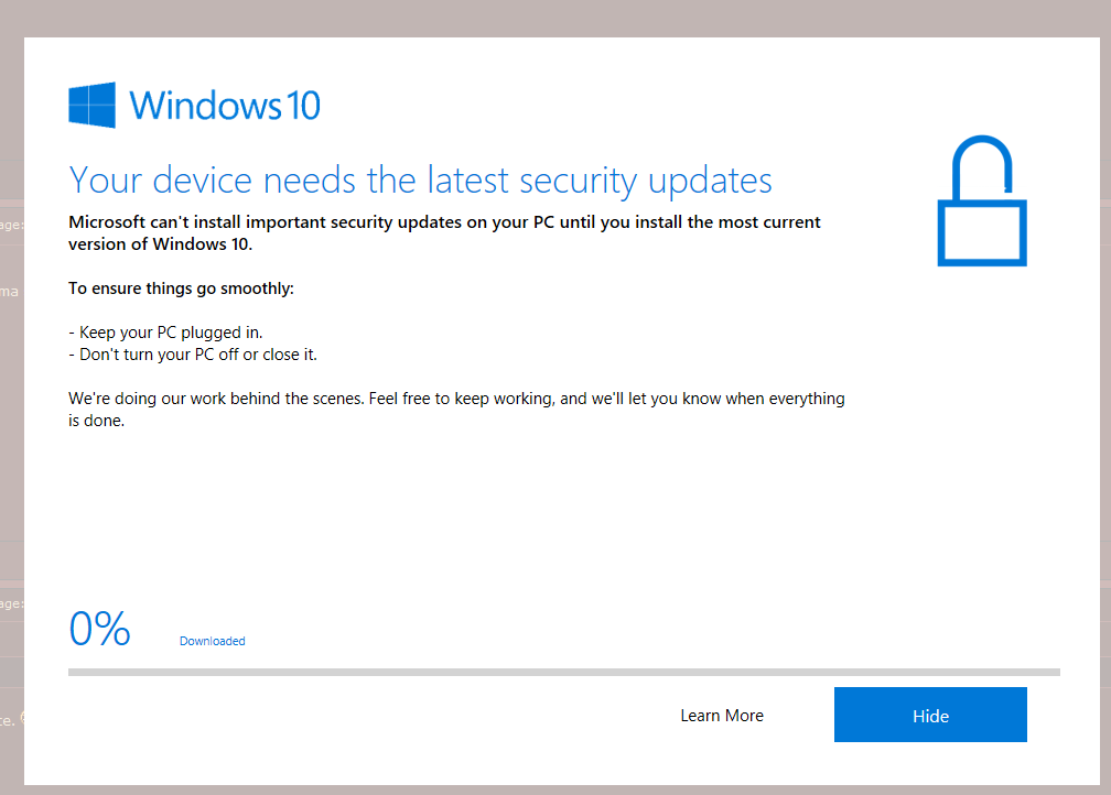 comment planter windows