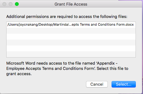 Mac user privileges microsoft word needs to grant access to excel