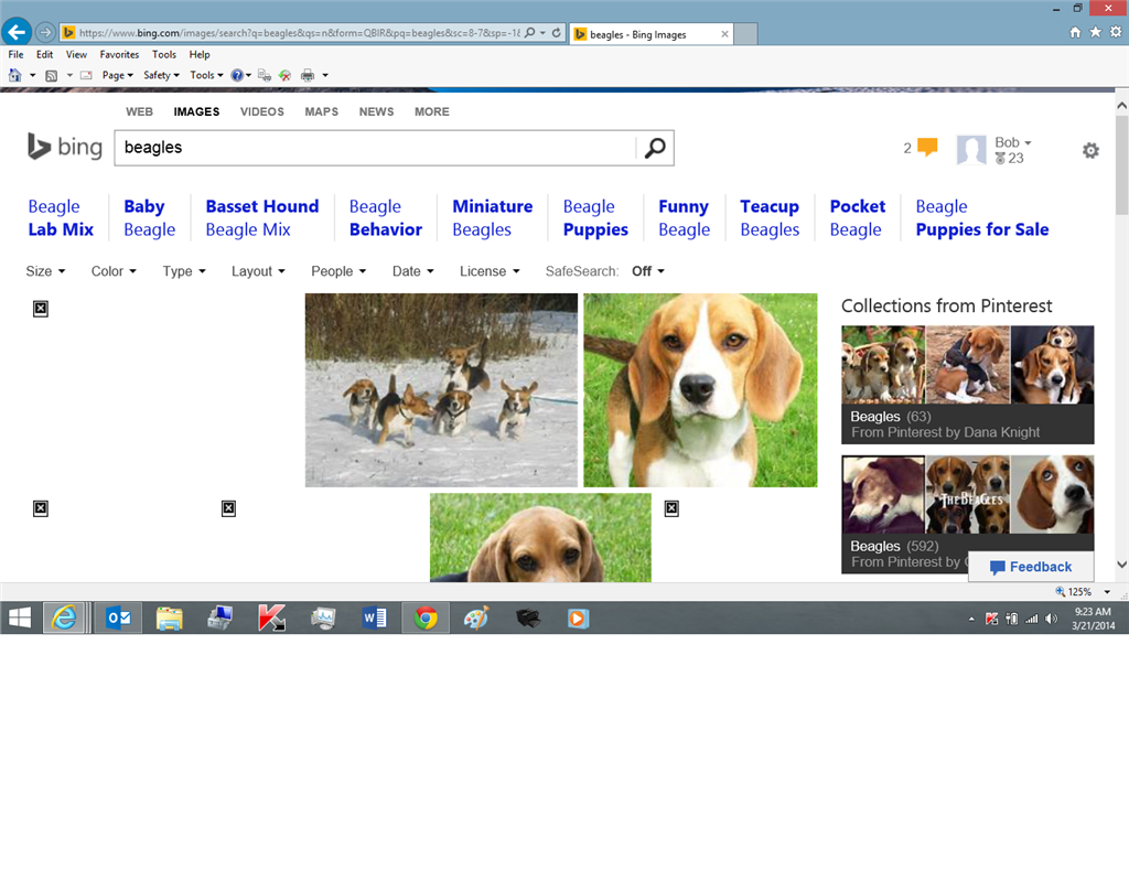 Bing Image Search: Not All Images Are Displaying Instead A Black X ...