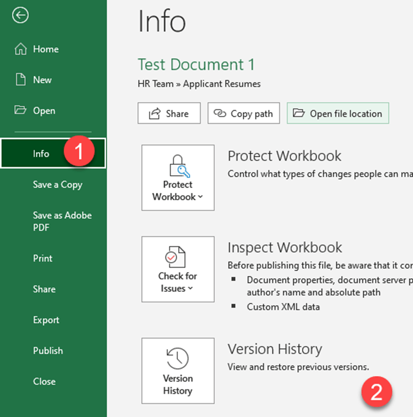 Microsoft Excel, Description & History