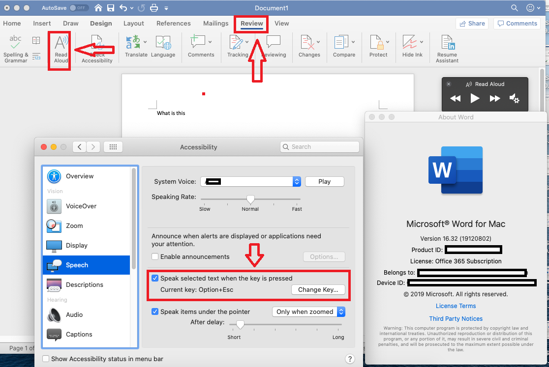 Mac version of microsoft word