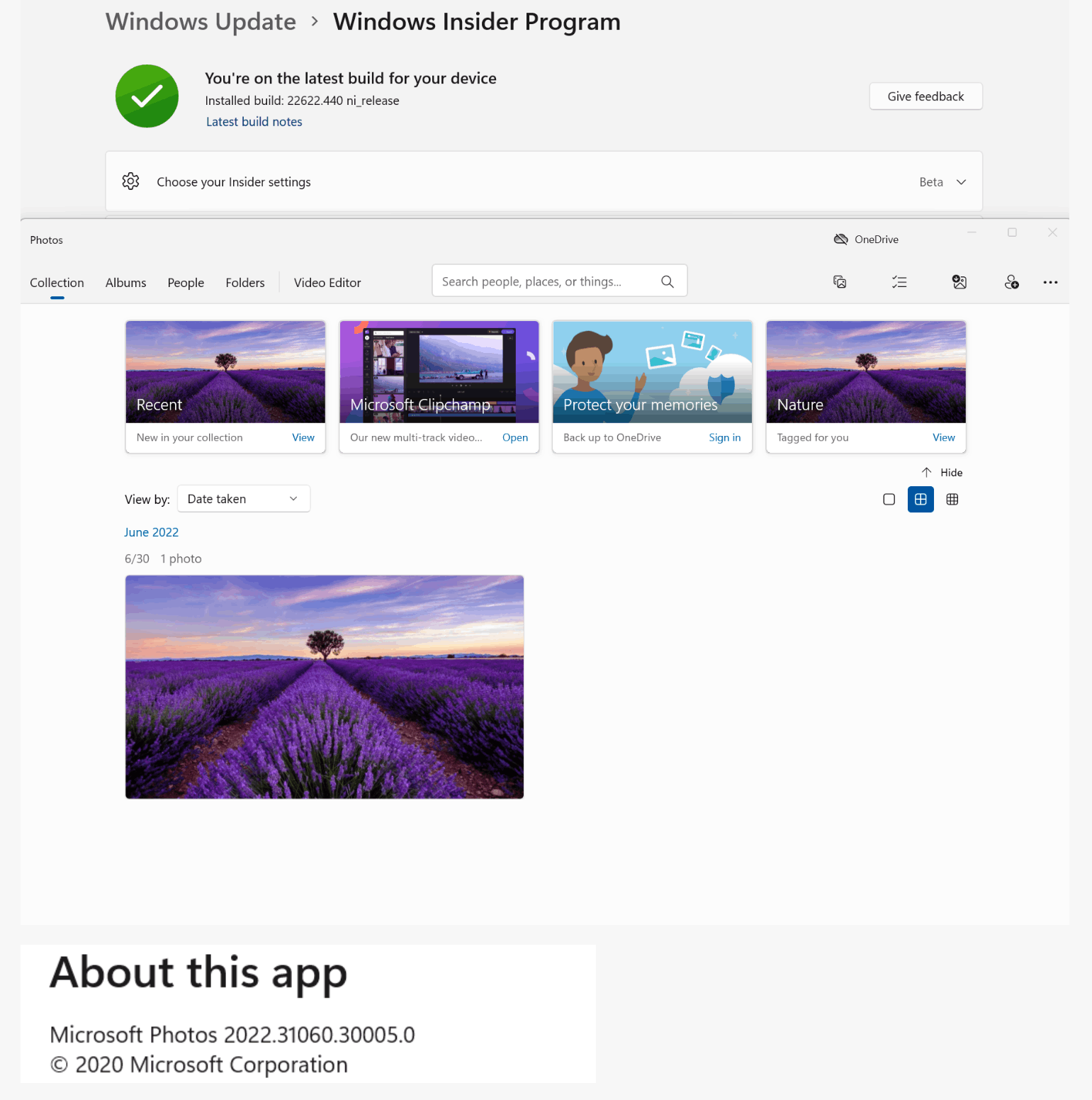 Photos Application Crashes On Launch. - Microsoft Community