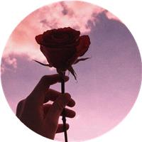 Rosemarie_D